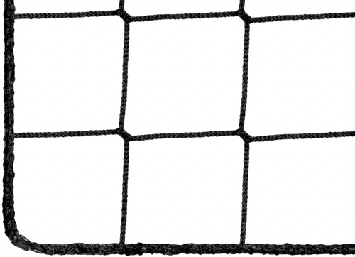 Ballfangnetze